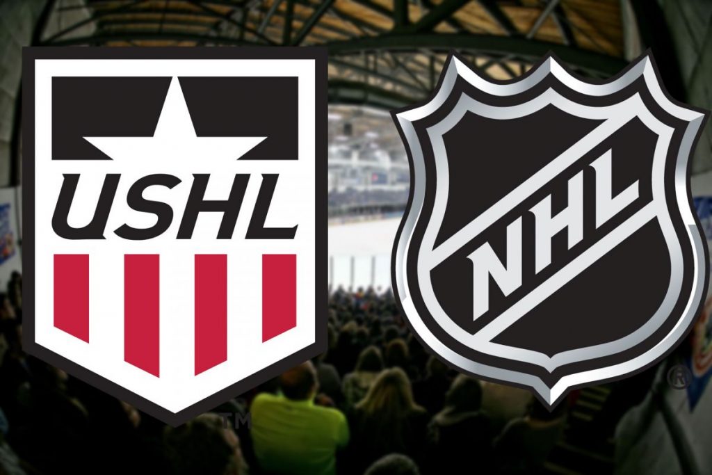 USHL Draft Notebook Sizing up the USHL prospects in the 2019 NHL Entry